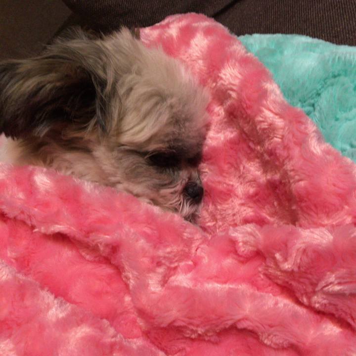 545c668f 5d0a 47cd a651 24ecde187ecd 1511771514356