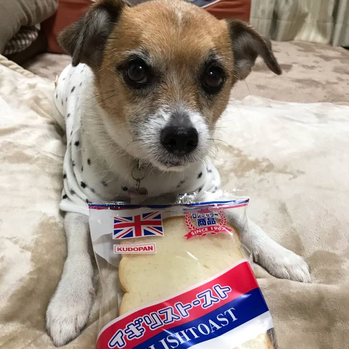 545c78cb df6d 4ad5 9eb3 5ad77e4afcd8 1544339765066