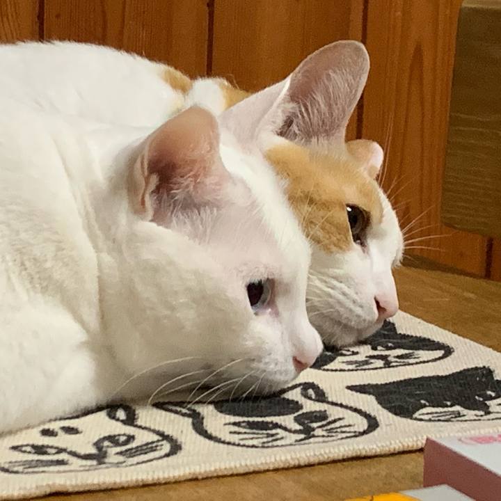 545c895a 9377 48ae 82e0 258253860ee1 1570199036919