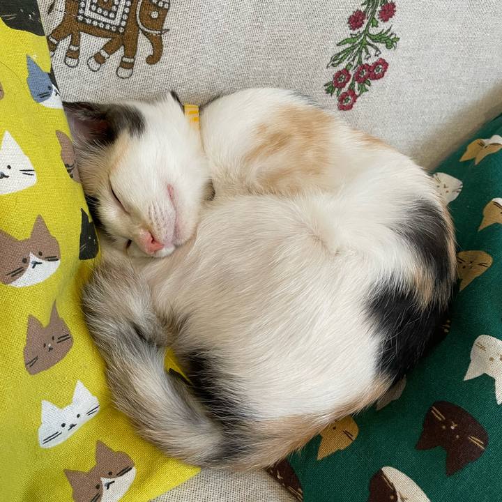 545cb083 d2e4 4c8d b4c1 4b4048cac922 1661130850371