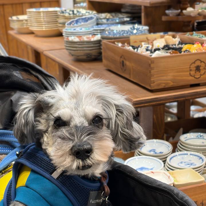 545ce705 f03e 4273 a781 4cd22f05be41 1770376502296