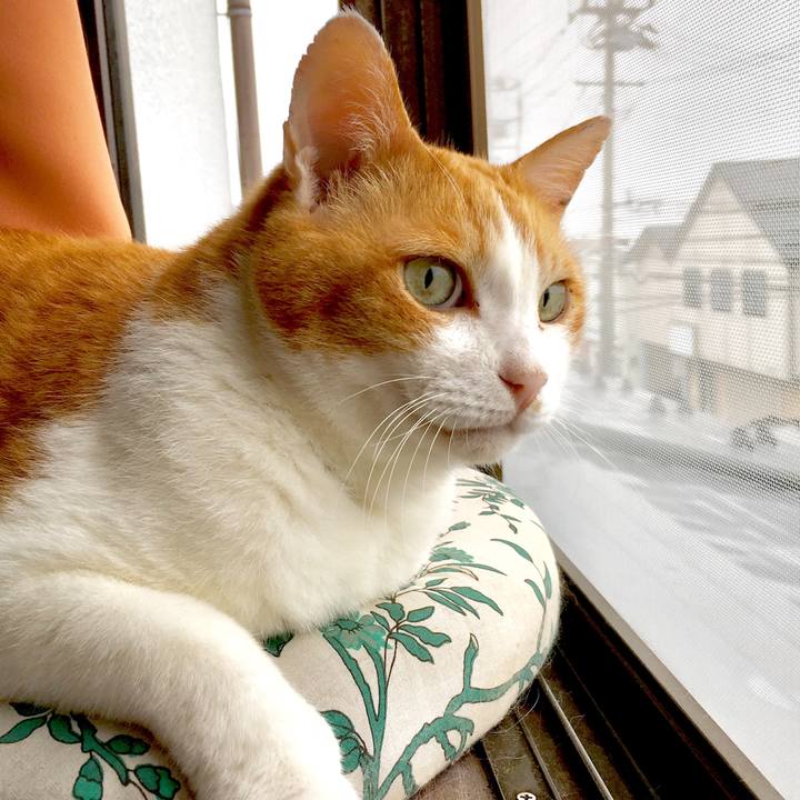 545d51c0 1897 492c 8453 9559dd700e9d 1561690230432