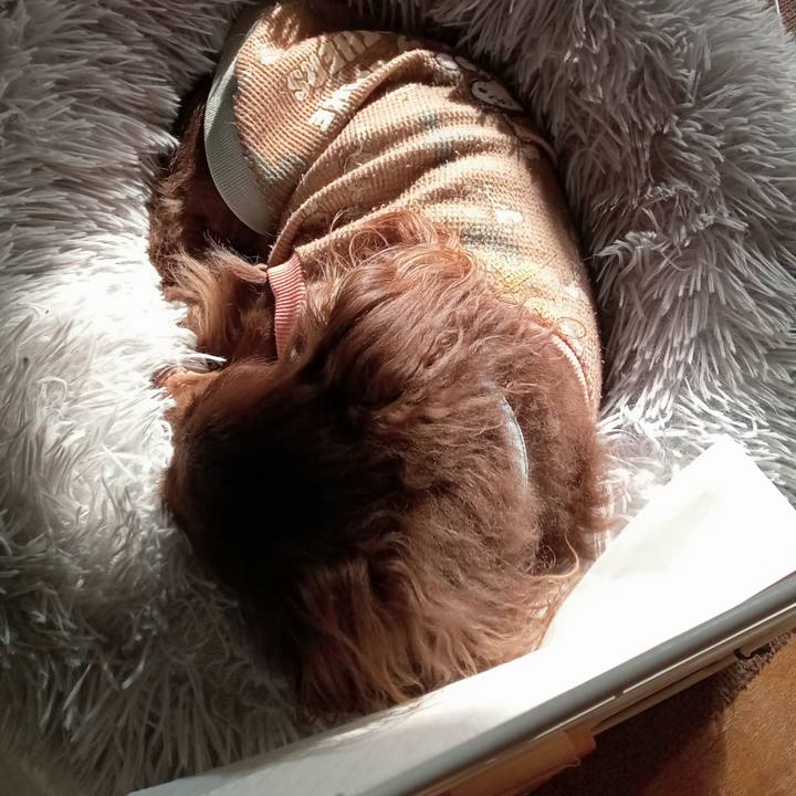 545d5d88 dd67 449a 9f57 2963459881f8 1769294974213