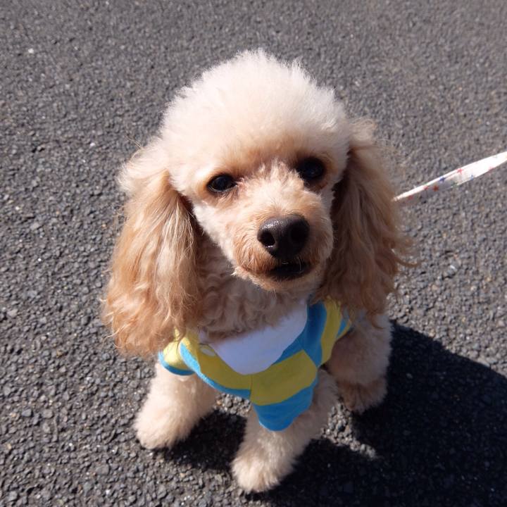 545d662a dd52 4711 be46 ef1b3658bcd0 1514633216866