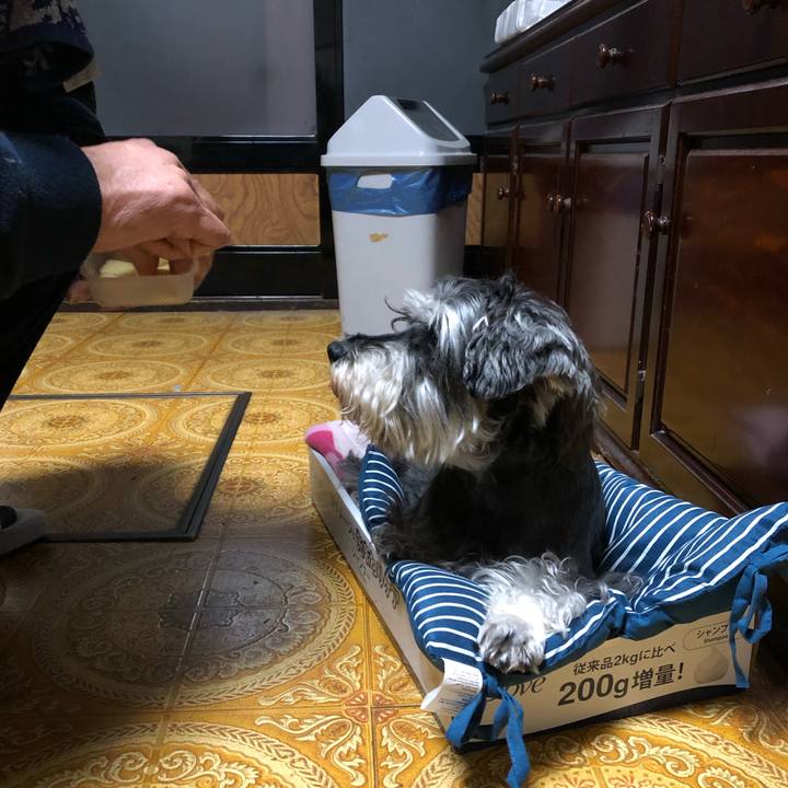 545d7063 5ee5 4dbb 9e2b b431f187d3eb 1639142395125