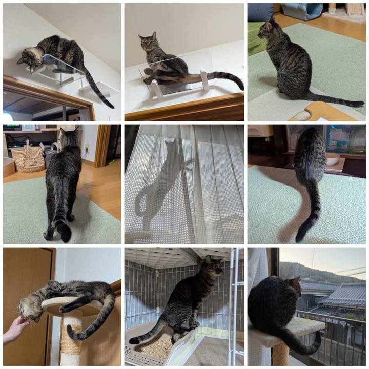 545df177 575e 466b 99d7 59405c74bc47 1770261128655