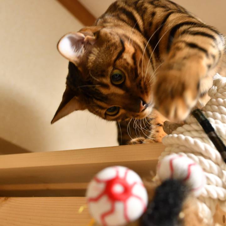 545e2460 7604 4675 9170 64da5a75cf0f 1510589563528