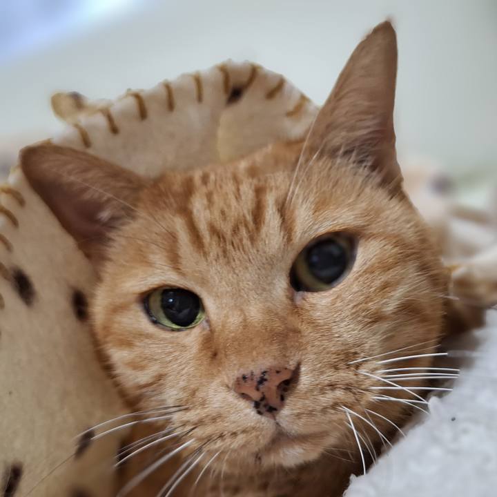 545e6d3a 4f7e 4ac6 9dd6 d7bd3e8938df 1731454143392