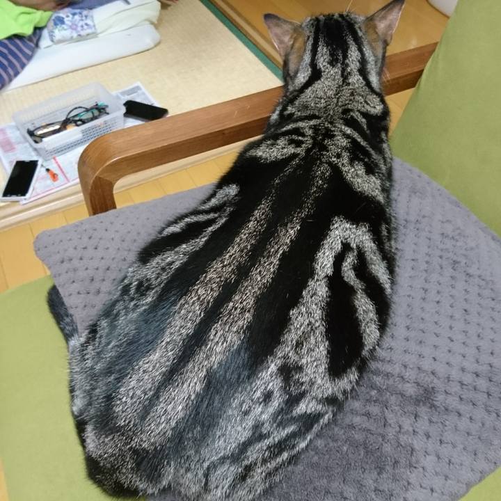 545e80c8 8cc8 4d17 b50b 3b3e9c907d6c 1509635341235