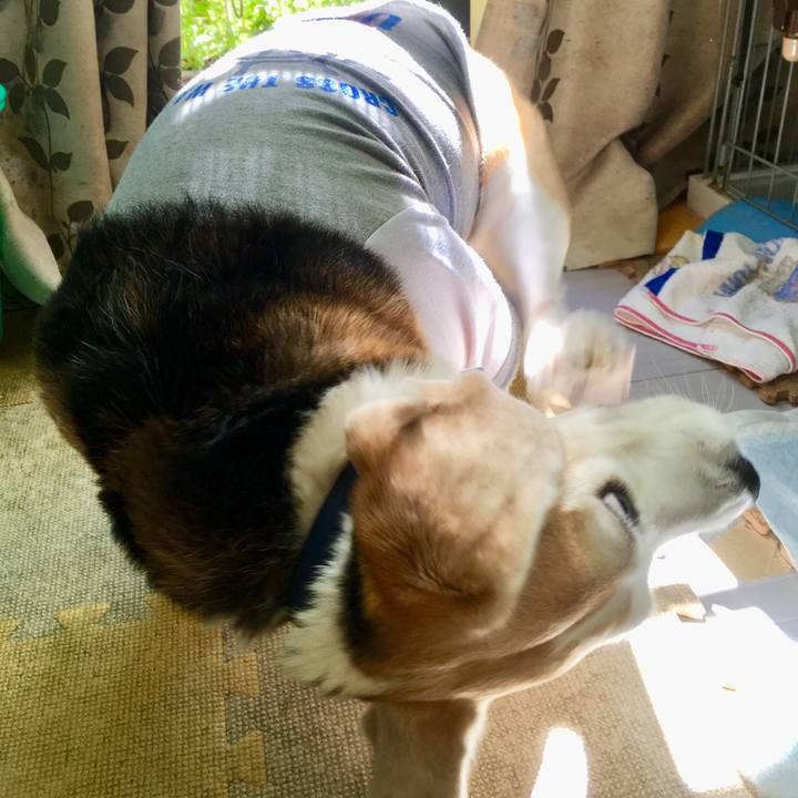 545e8789 77e2 4c68 8c56 fd7ab5094250 1568864912093