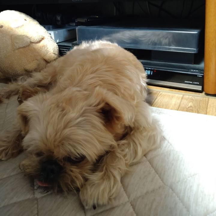 545ea28e 1cba 44d4 ae41 7ade25e40c23 1659318364361