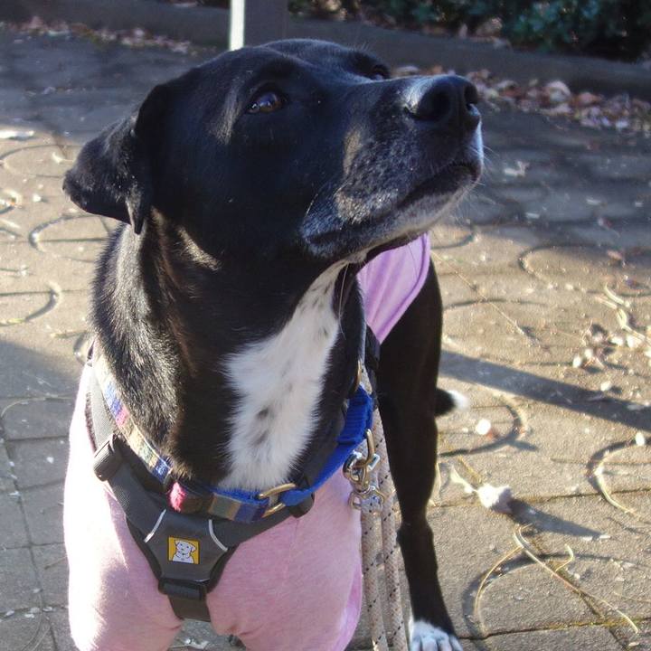 545eac31 b167 43a8 b398 a2f014884e8d 1639786344079