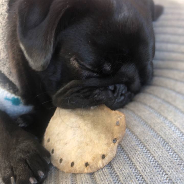 545eb295 d421 4d49 8d99 0bd5c0a059d2 1612265111277