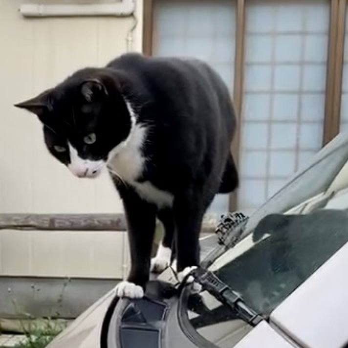 545eb457 187c 449b b078 8bb03bbded60 1730400195571