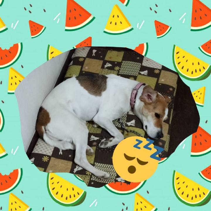 545ee9c3 5763 4d88 b9c5 d8805d85312d 1591018521340