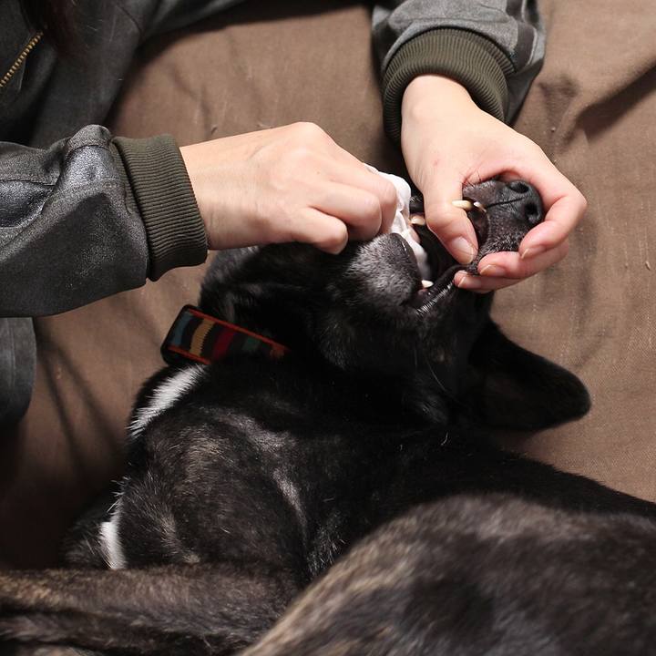 545f0de8 d6c3 4283 a9d8 0f2d34a63f70 1549411517271