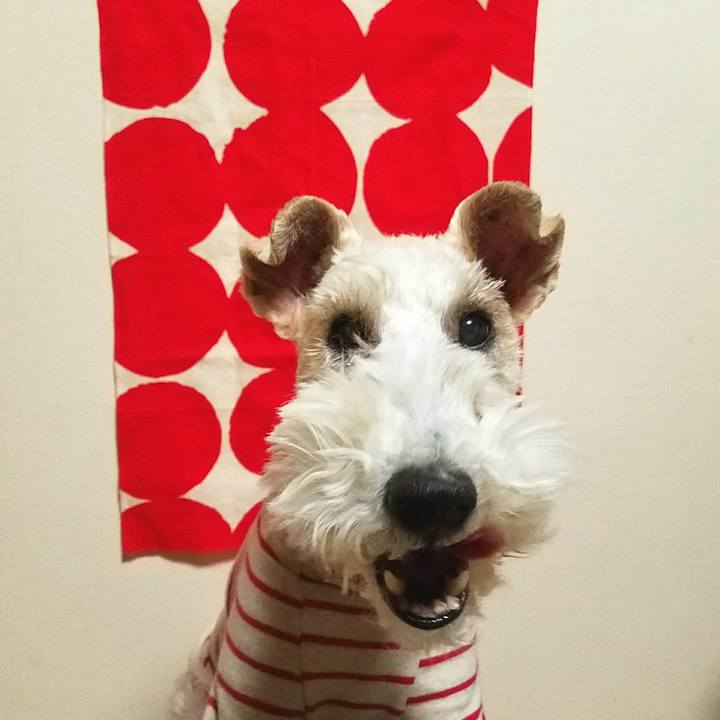 545f265d 5e3b 48d6 a597 58a6b6b71fb2 1518004207272