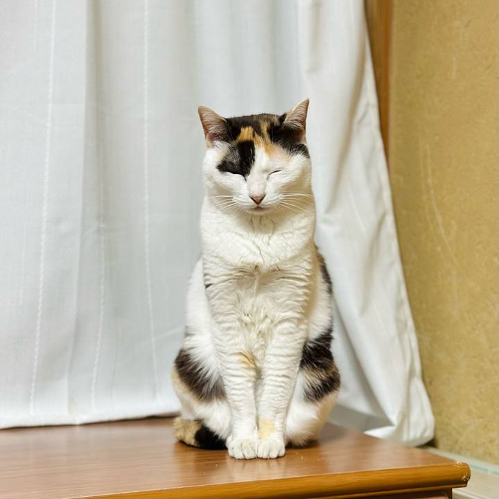 545f390c eadf 4aa7 93d2 66d1d5b6391c 1686101695954