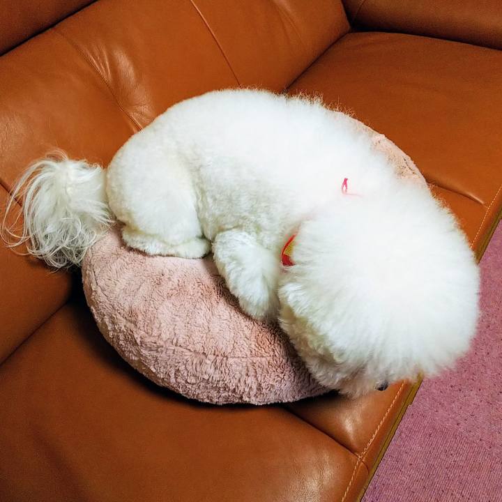 545f3c0c d12a 44f3 b875 e414950c1e48 1545827239917