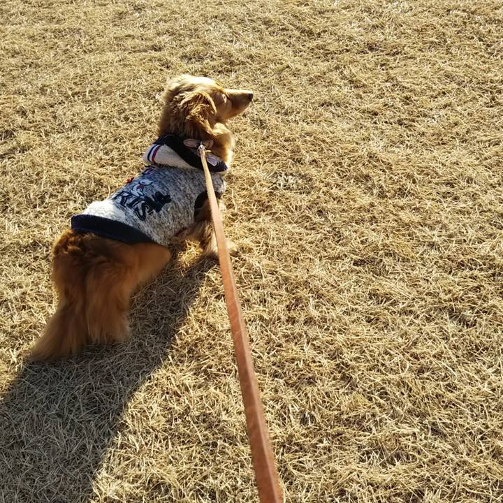 545f68dc 10d4 4c19 8792 b248d7600751 1580285594060