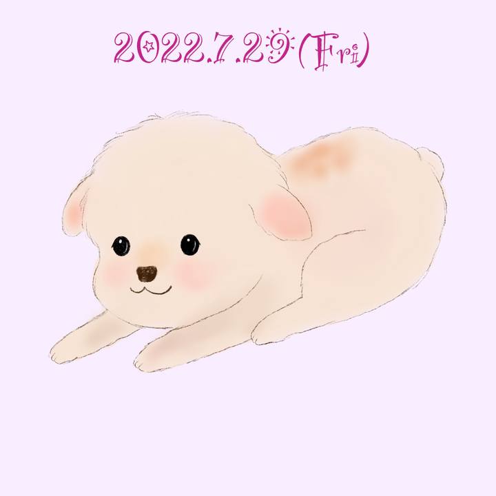 545f80d4 7290 4e90 98f0 88da491f596f 1659093411792