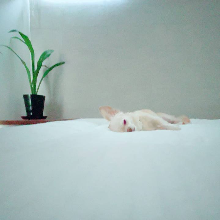 545f827f fbe8 485f b3b8 2db095b7df23 1694668771167