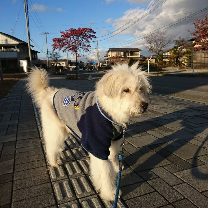 545f9047 c97a 463d 8229 3f46e6ba95ae 1574235337023