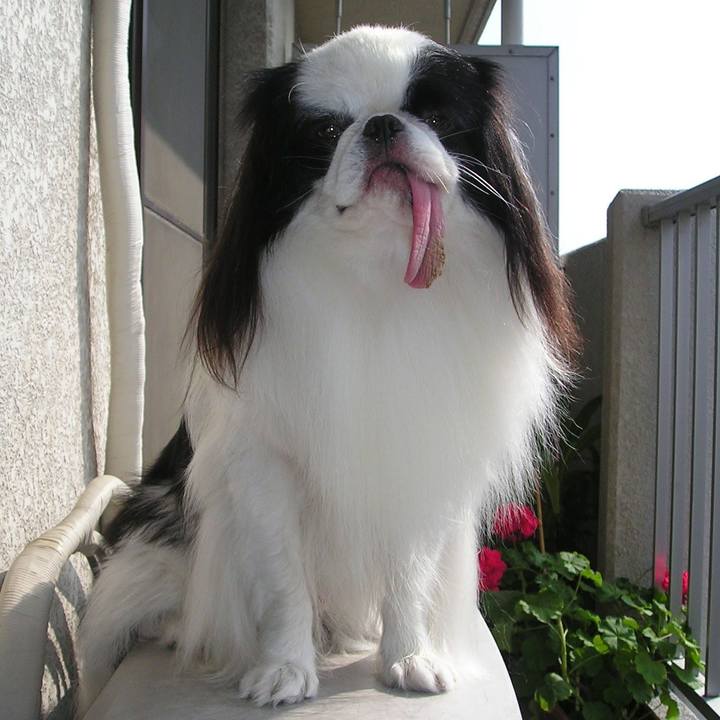 545fa992 9a50 4810 a204 b824ea79bd6c 1558244936828