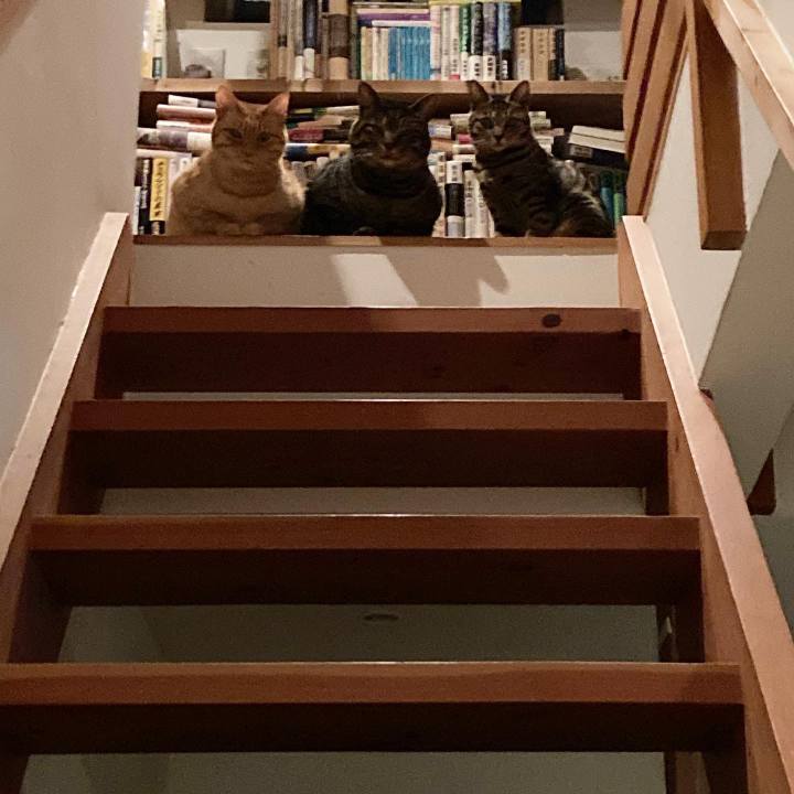 545fadea 121b 45d6 8ad1 dbdc7282fa7f 1673358405211