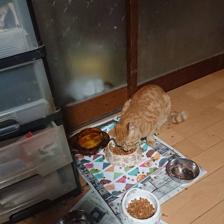 54600c14 0cfd 43cf 885c afb28d9e4335 1652648790478