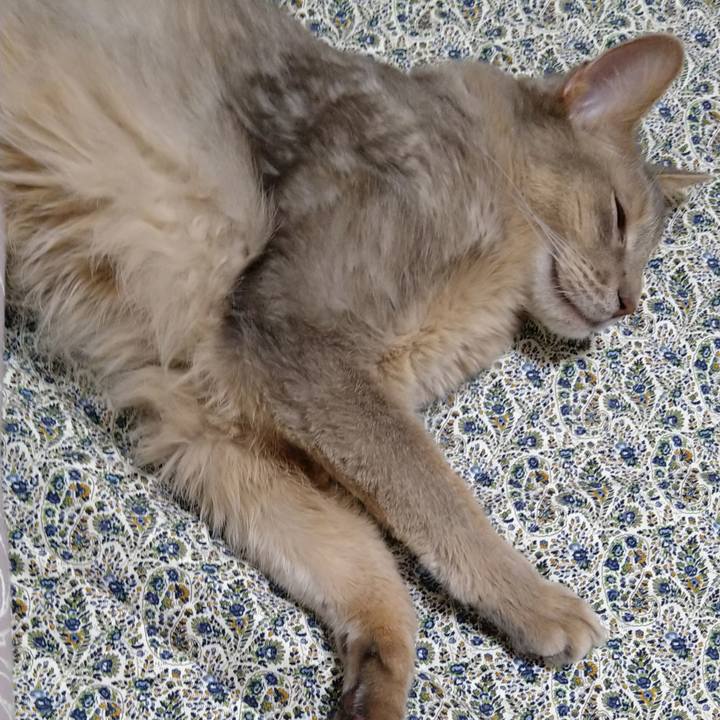 546045ba 0a1d 4e93 80b9 8fa7a9ceac42 1620040828126