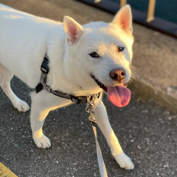 546048a5 e80d 4dad a18c 4392a90122b3 1628222894300