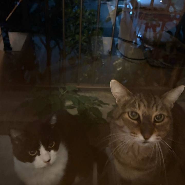 54607a63 ff38 4837 9c61 2e050d0dd5c6 1762613502865