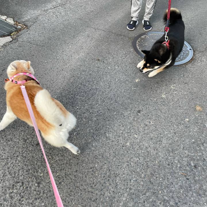 54608f78 4035 4339 bc2c f26193f70702 1635981913726