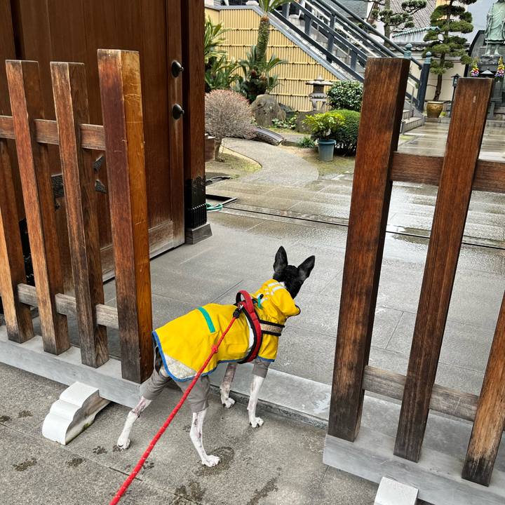 54609589 09f6 4a84 acad 0e74040035df 1647677939780