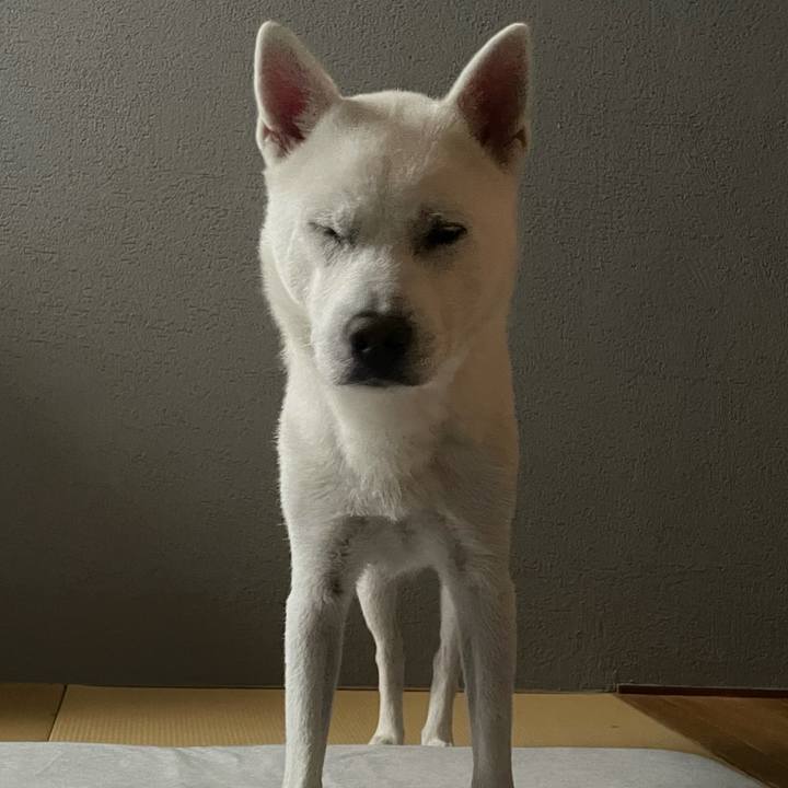 5460b65b 9bb7 4430 9e63 af3352a7a10d 1627390064169