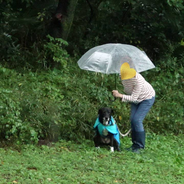 5460ba11 62b3 4c41 984a 1e2174afd621 1728432616890