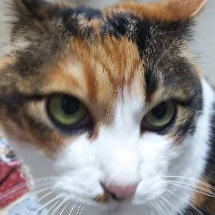 5460e1c0 5e44 4d92 a667 c18020d6d6e0 1571313936814