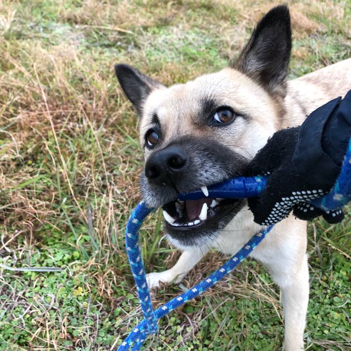 5460e2e2 9d05 425e bbd9 051d51d1c20a 1544443250542