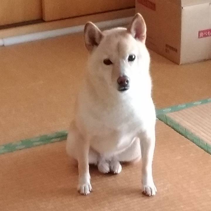 5460f2b5 06a9 46e3 85a7 3bce53185d75 1602977609766