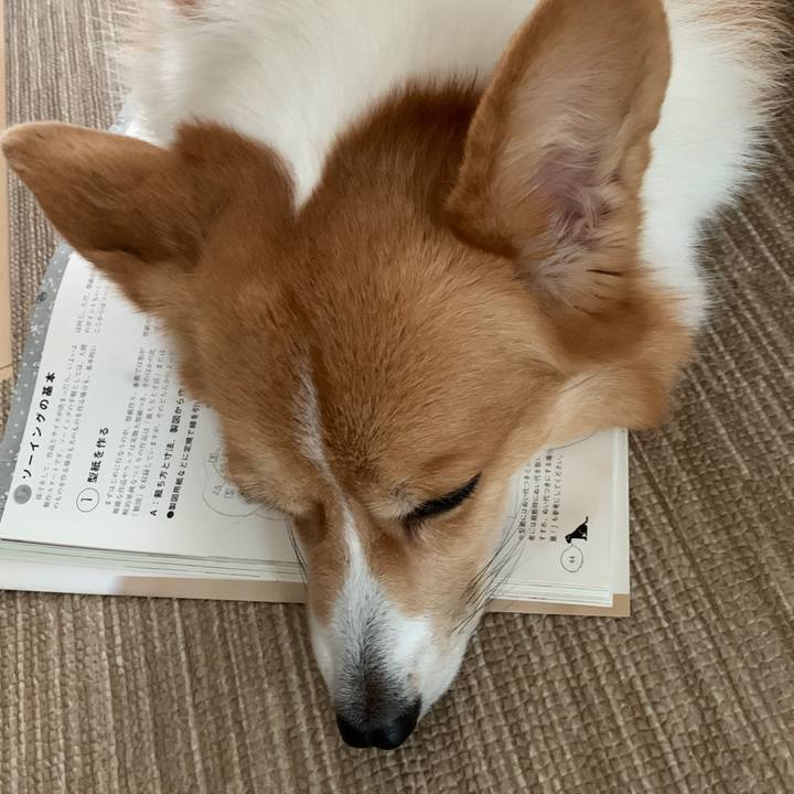 546107dc d126 450c 8802 f2ea37693b25 1572308835757