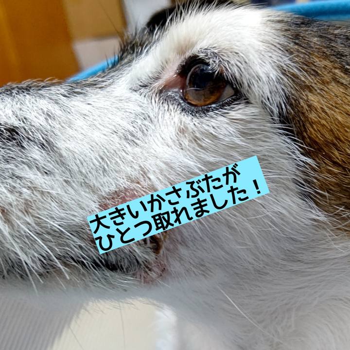 54610bf8 64ad 4b36 b670 f0320c459358 1670152193781