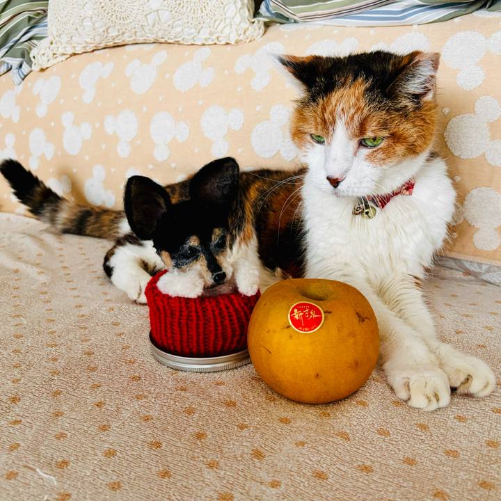 54614433 ee66 48f6 99ea 2fee85f7382e 1725486776365