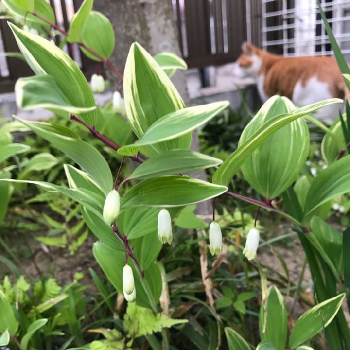 5461505f 26f4 4a00 9bed b14d1b74abbe 1525505628366