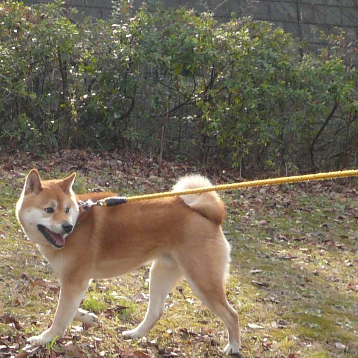 54617066 aeb5 4227 9524 a560b45f1209 1643093340644