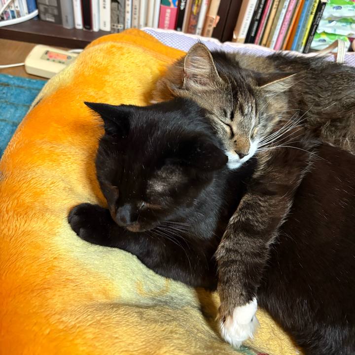 546171ac a8e3 4b0d 9c28 e245aa132b6e 1772861911408