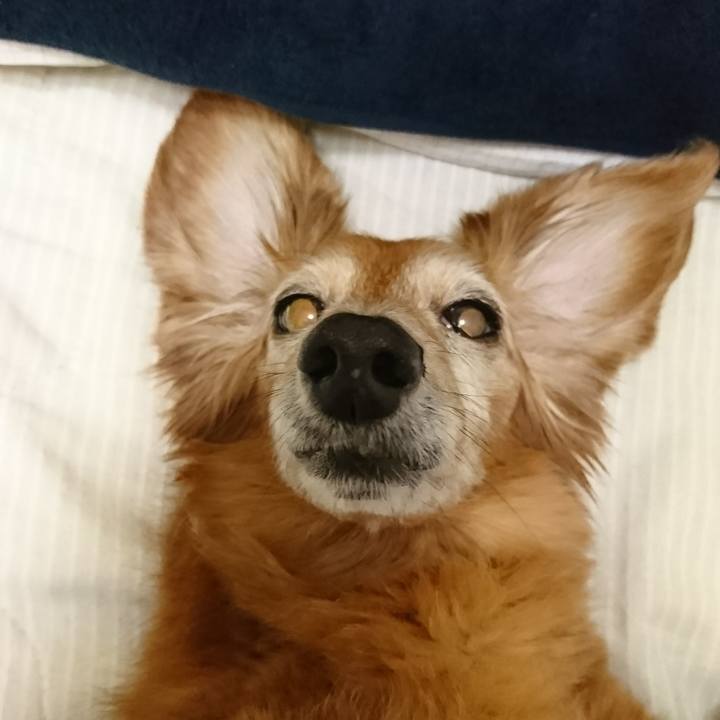 546179c1 fc07 4b36 a11e 42aa965e6741 1510508478476