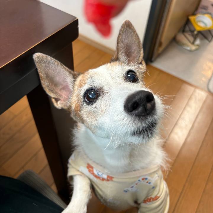 5461a7a5 f08e 47c5 9c31 aa4c6877d843 1756163942073