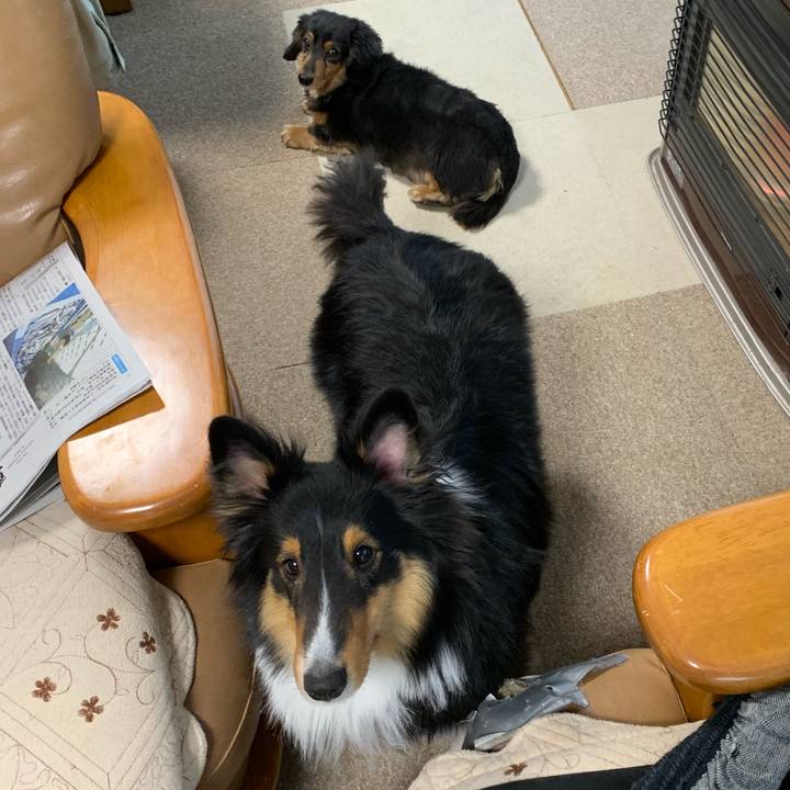 5461b15c 9ad5 493e 90ec cc2c684b53b9 1546985435940