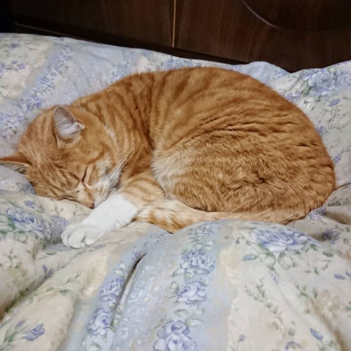 5461d944 de59 4081 8414 1e949033d1d2 1579951216516